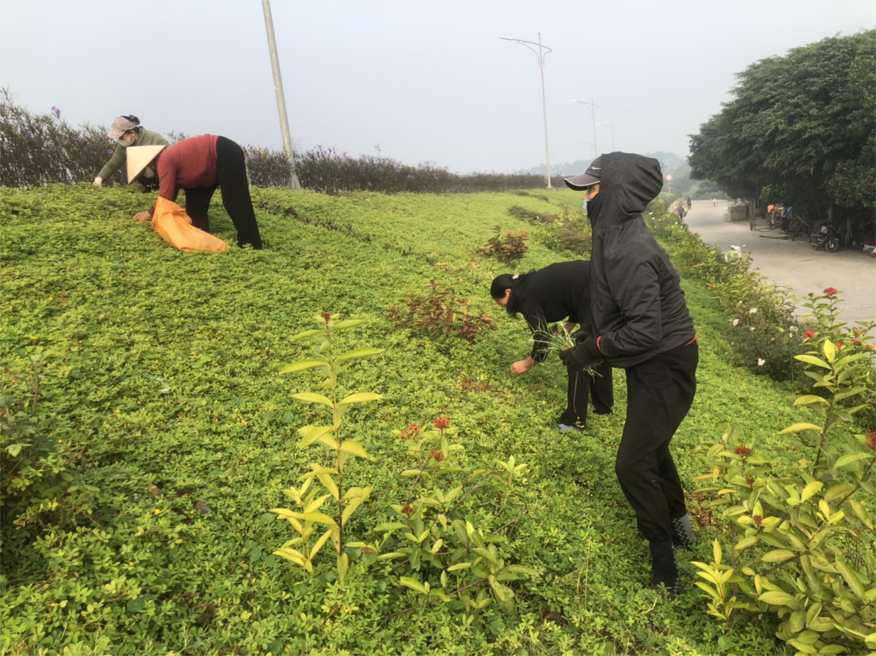 Xã Song Phượng, huyện Đan Phượng, thành phố Hà Nội - đồng lòng xây dựng nông thôn mới (08/12/2023)
